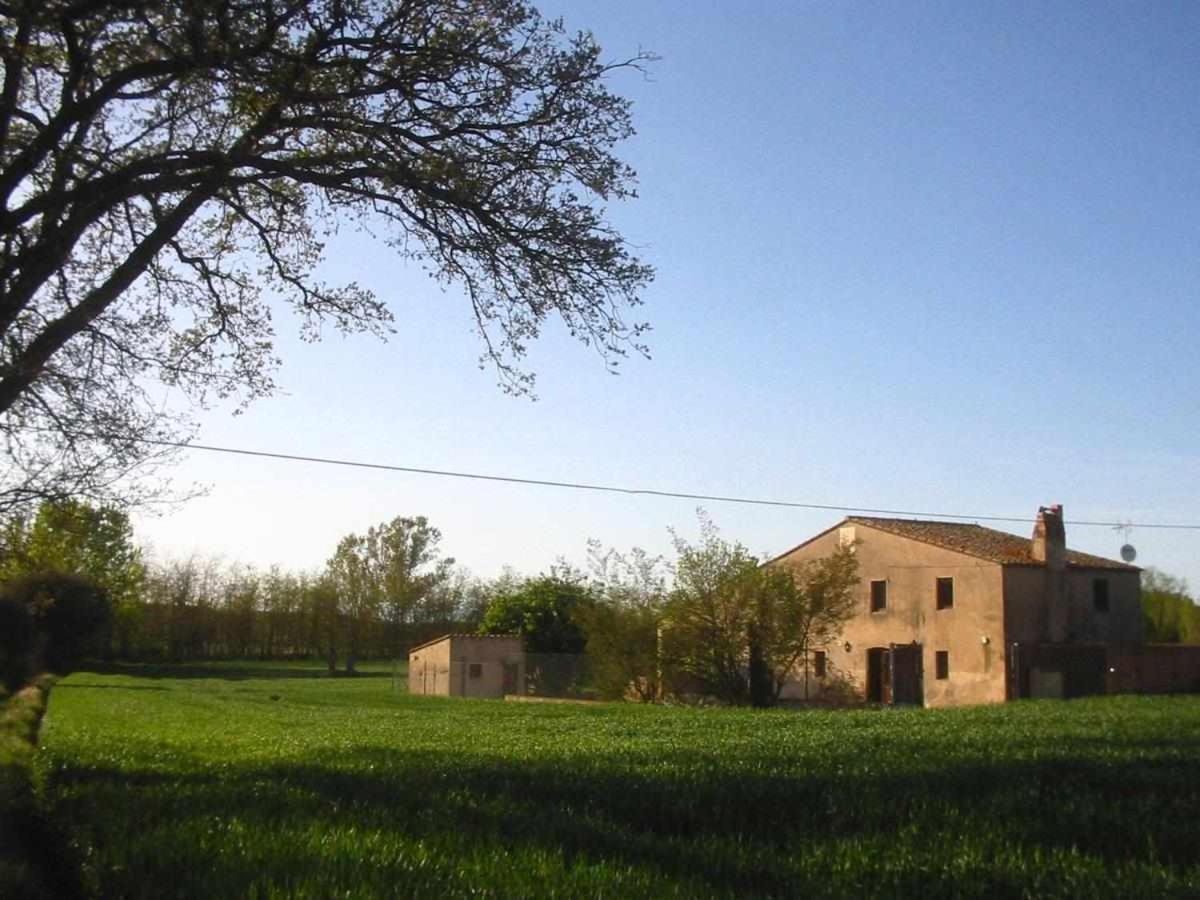 Can Jep Llarg Casa Rural Cassà de la Selva Dış mekan fotoğraf